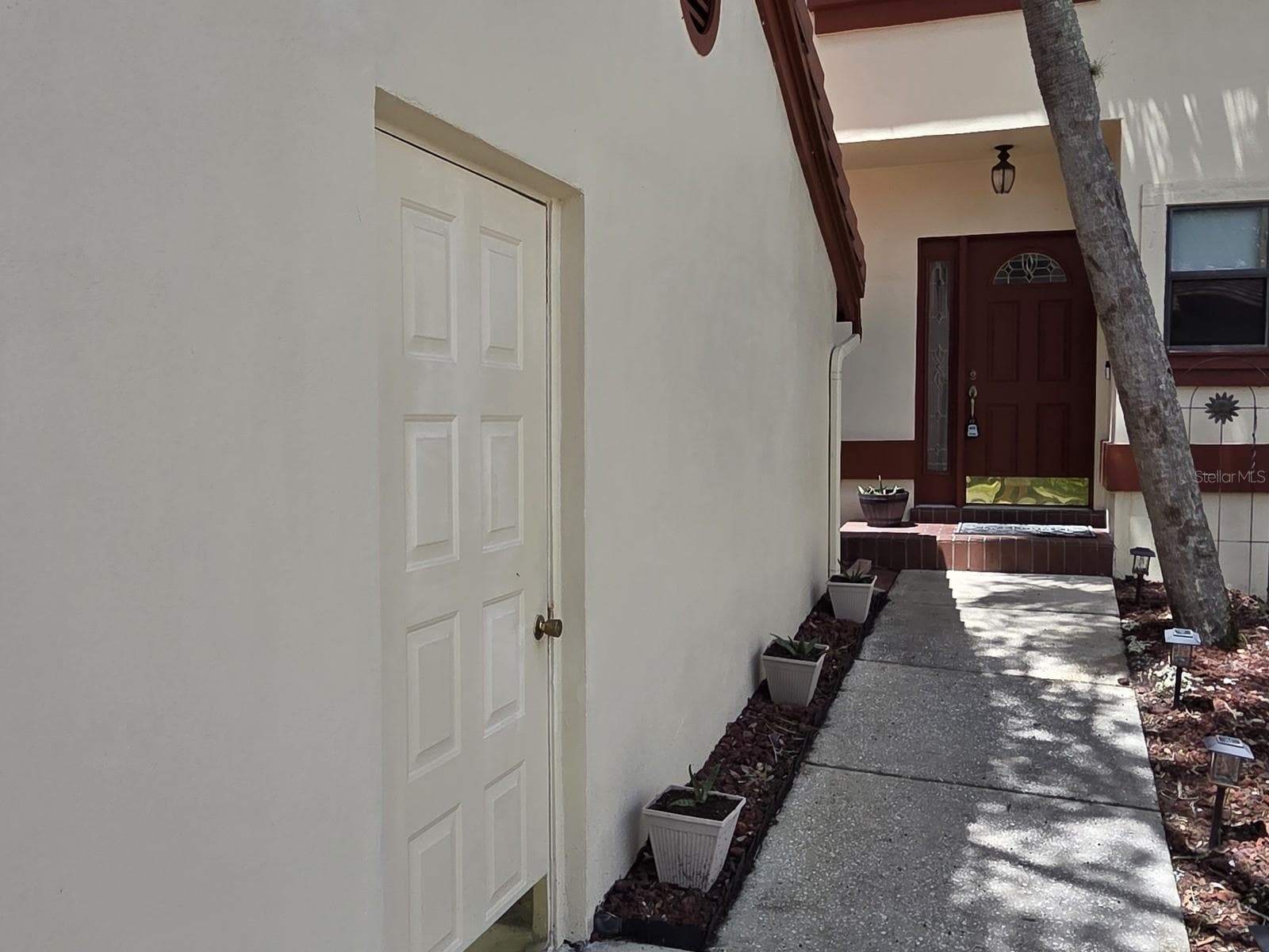 3460 Countryside Blvd #59 photo 3
