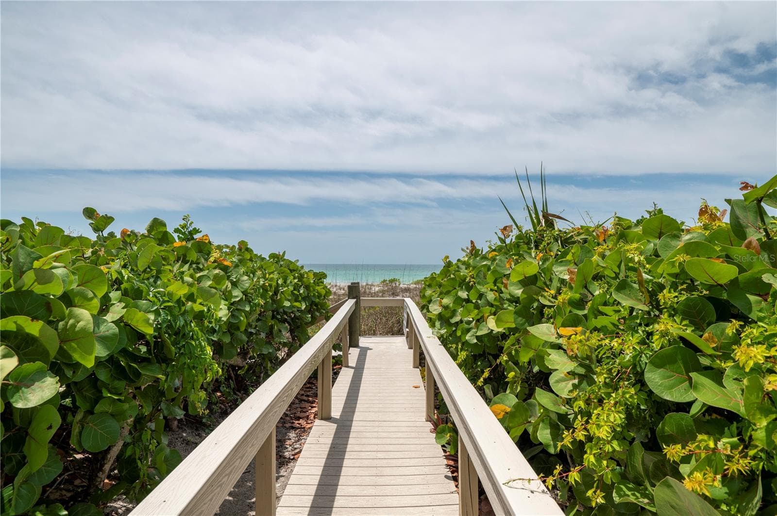 2675 Gulf Of Mexico Dr #204 photo 3