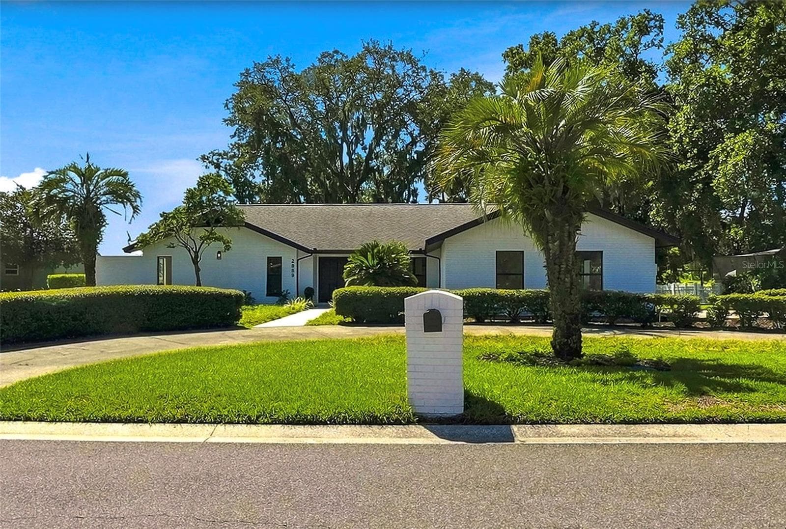 2889 Hammock Dr photo 3