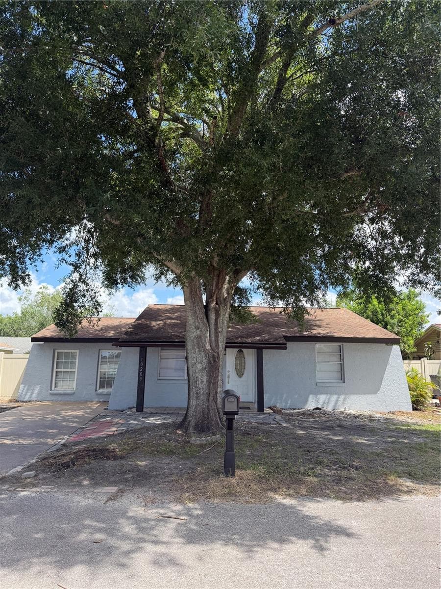 10205 Bellhurst CT photo 4