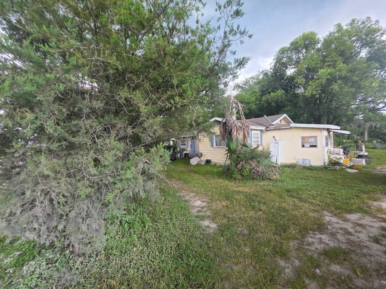 39521 Coit Rd photo 3
