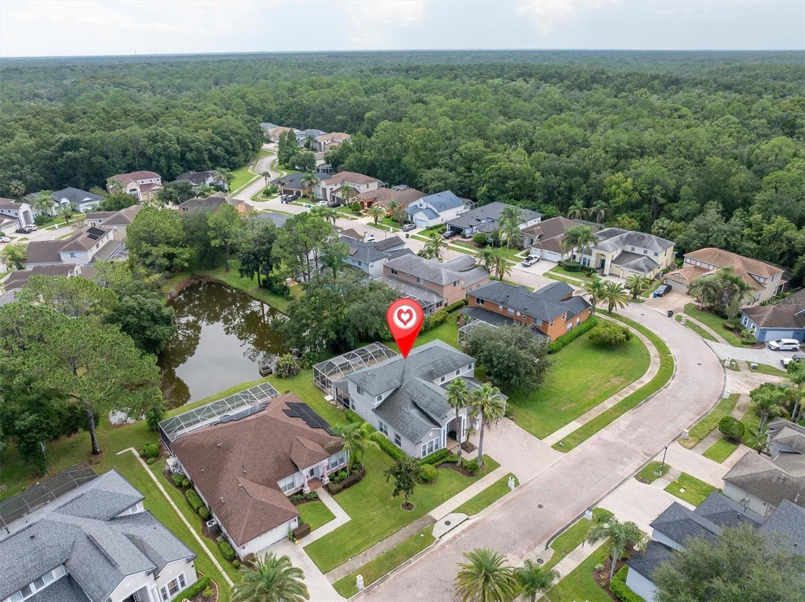 10436 Canary Isle Dr photo 3