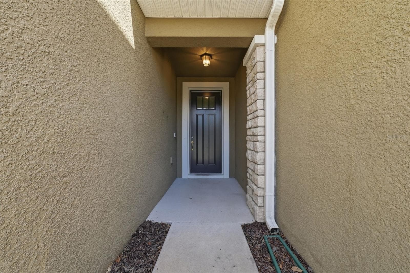 11752 Cambium Crown Dr photo 3