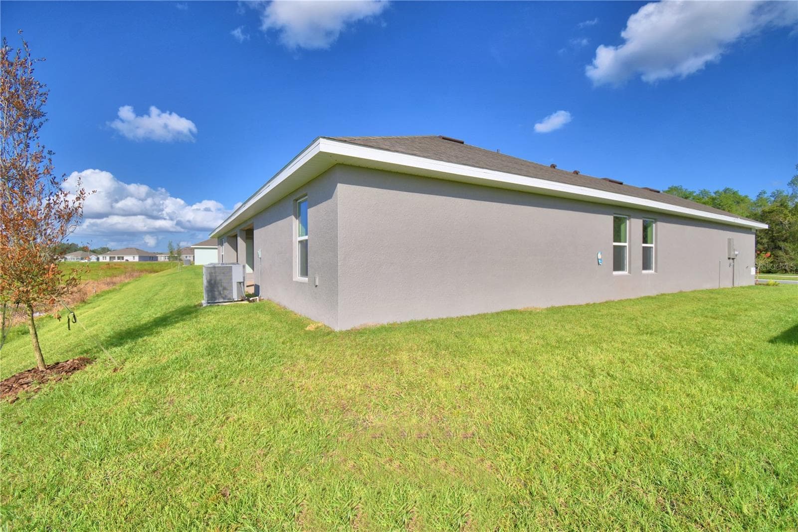 4645 Calamint Ln photo 5
