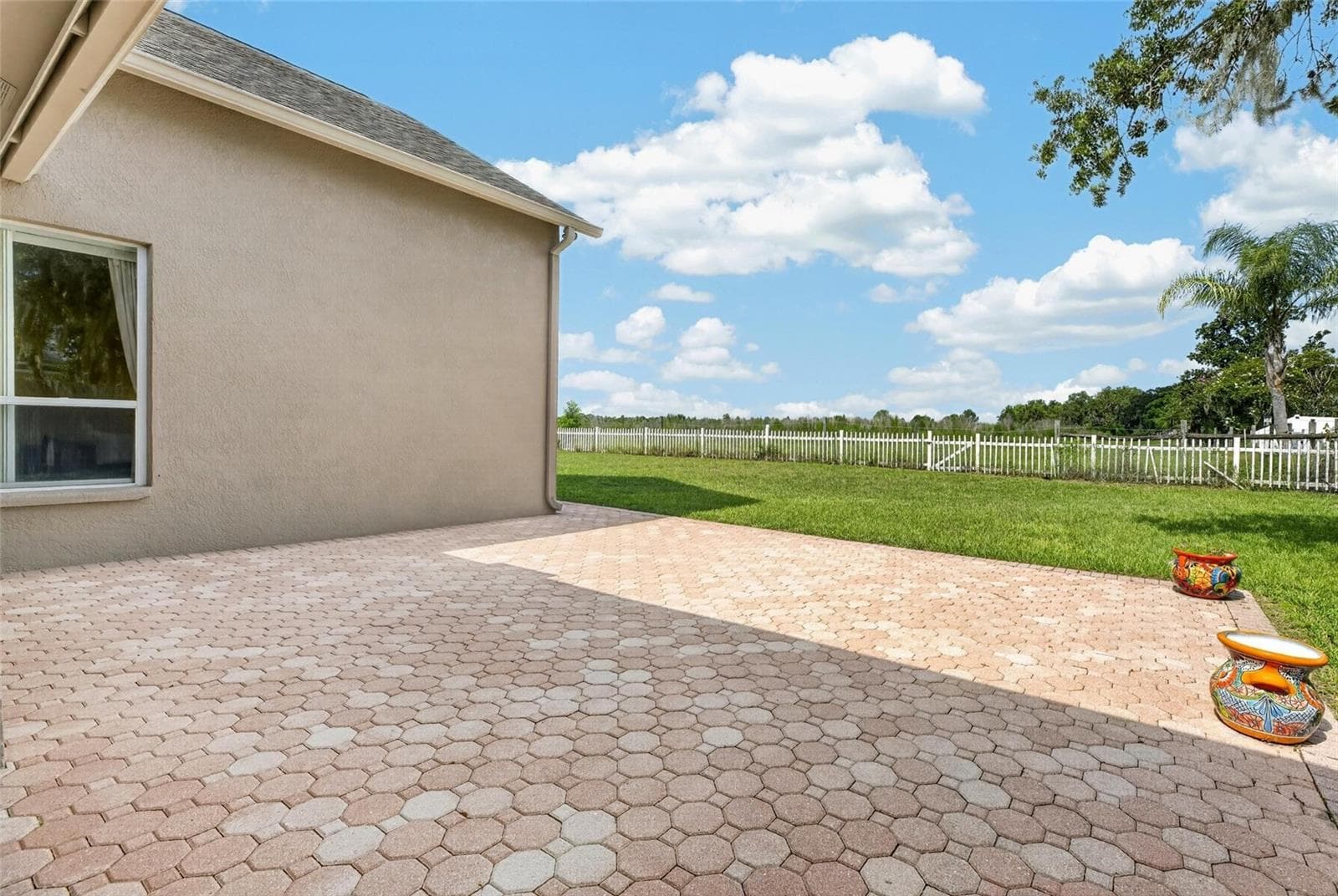 10303 Tarragon Dr photo 3