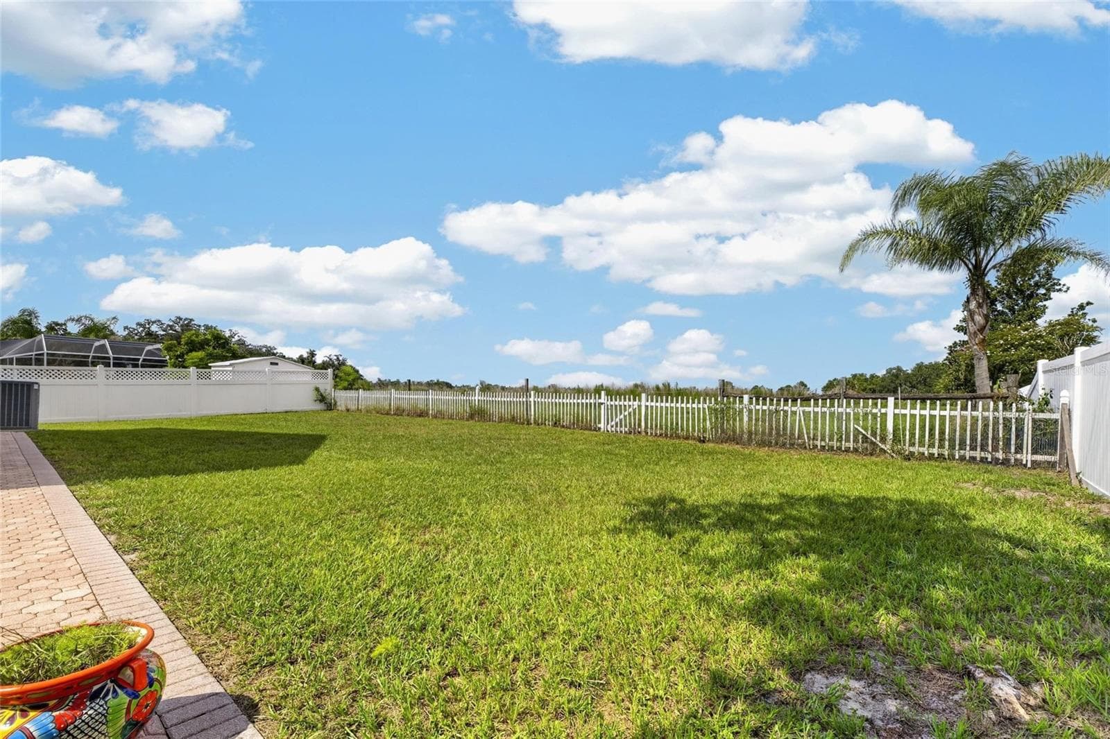 10303 Tarragon Dr photo 4
