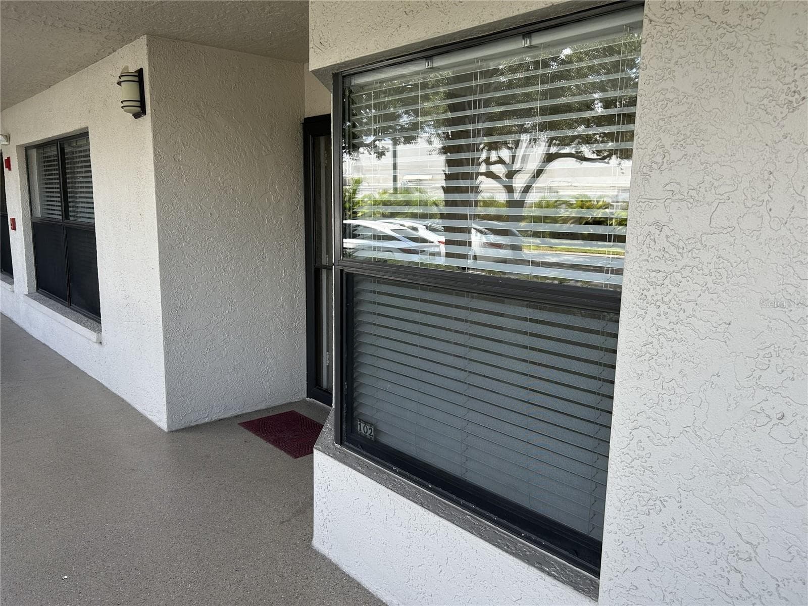 1316 Pasadena Ave S #102 photo 4