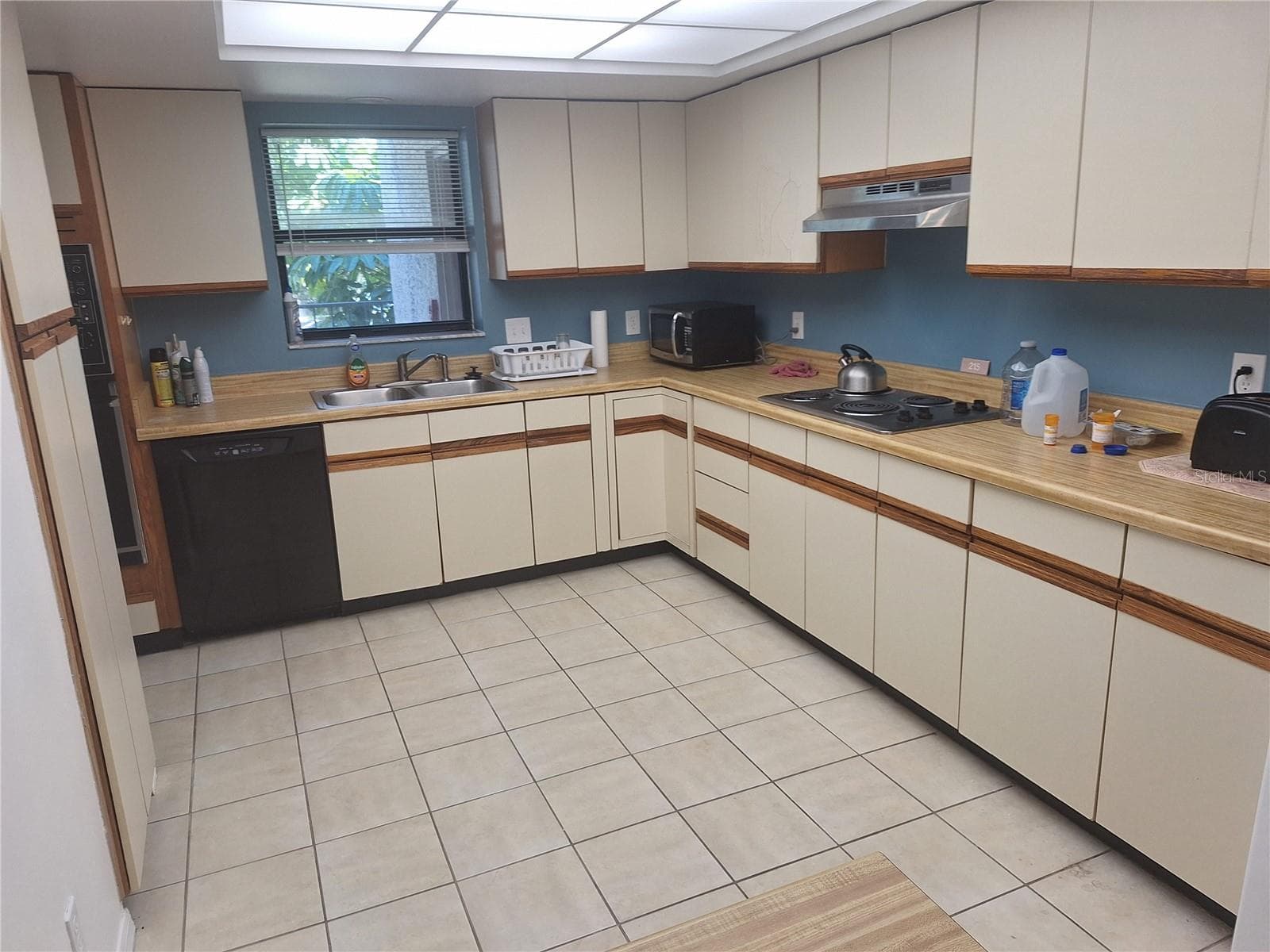 504 S Florida Ave #215 photo 4