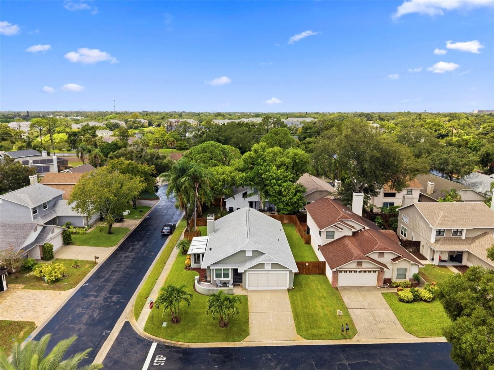 2234 Springflower Dr. photo 3