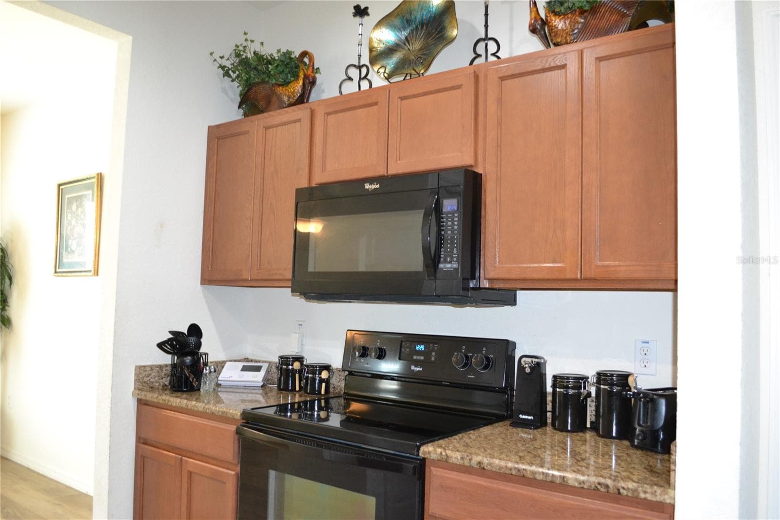 2828 Blackwater Creek Dr photo 3