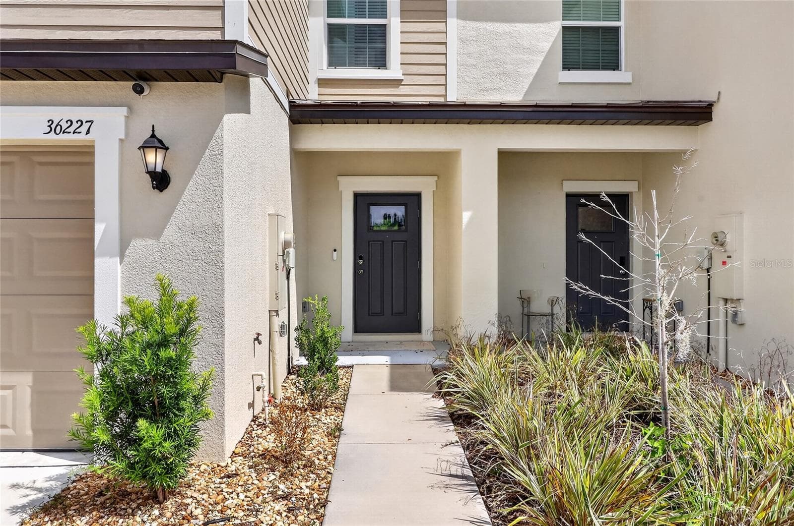 36227 Joseph Blake St photo 3