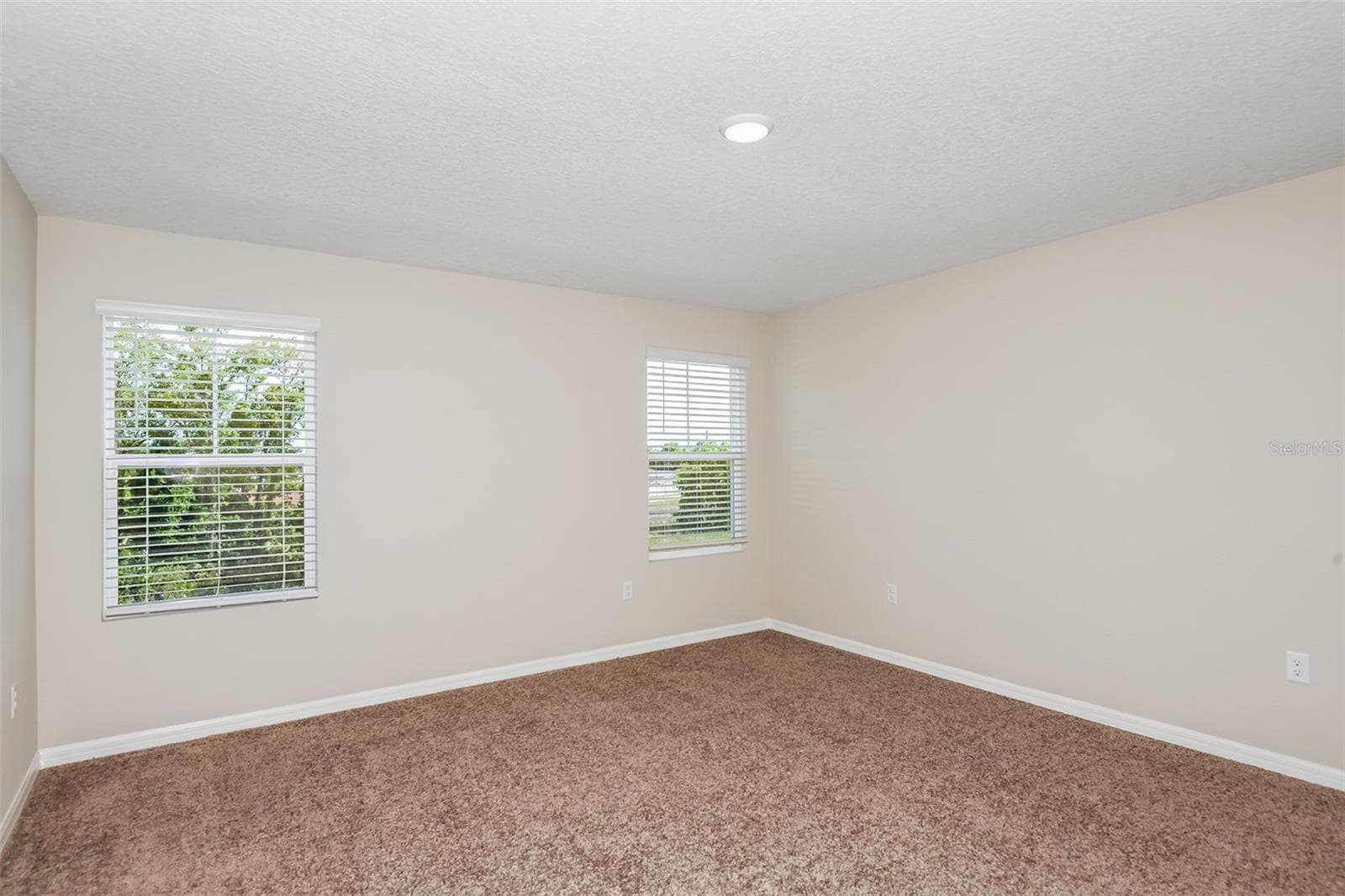33856 Noble Creek Pl photo 5