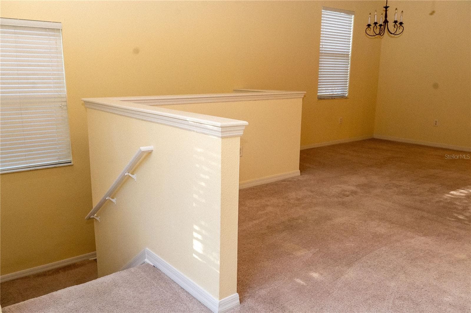 4316 Via Piedra Cir #5-204 photo 4