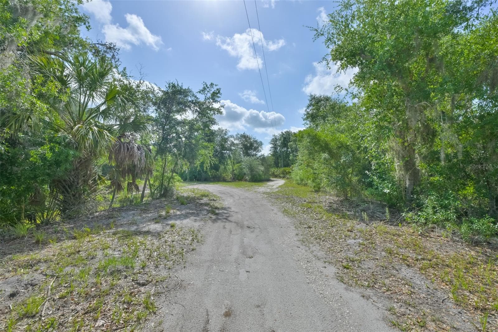 14451 Highland Rd photo 5