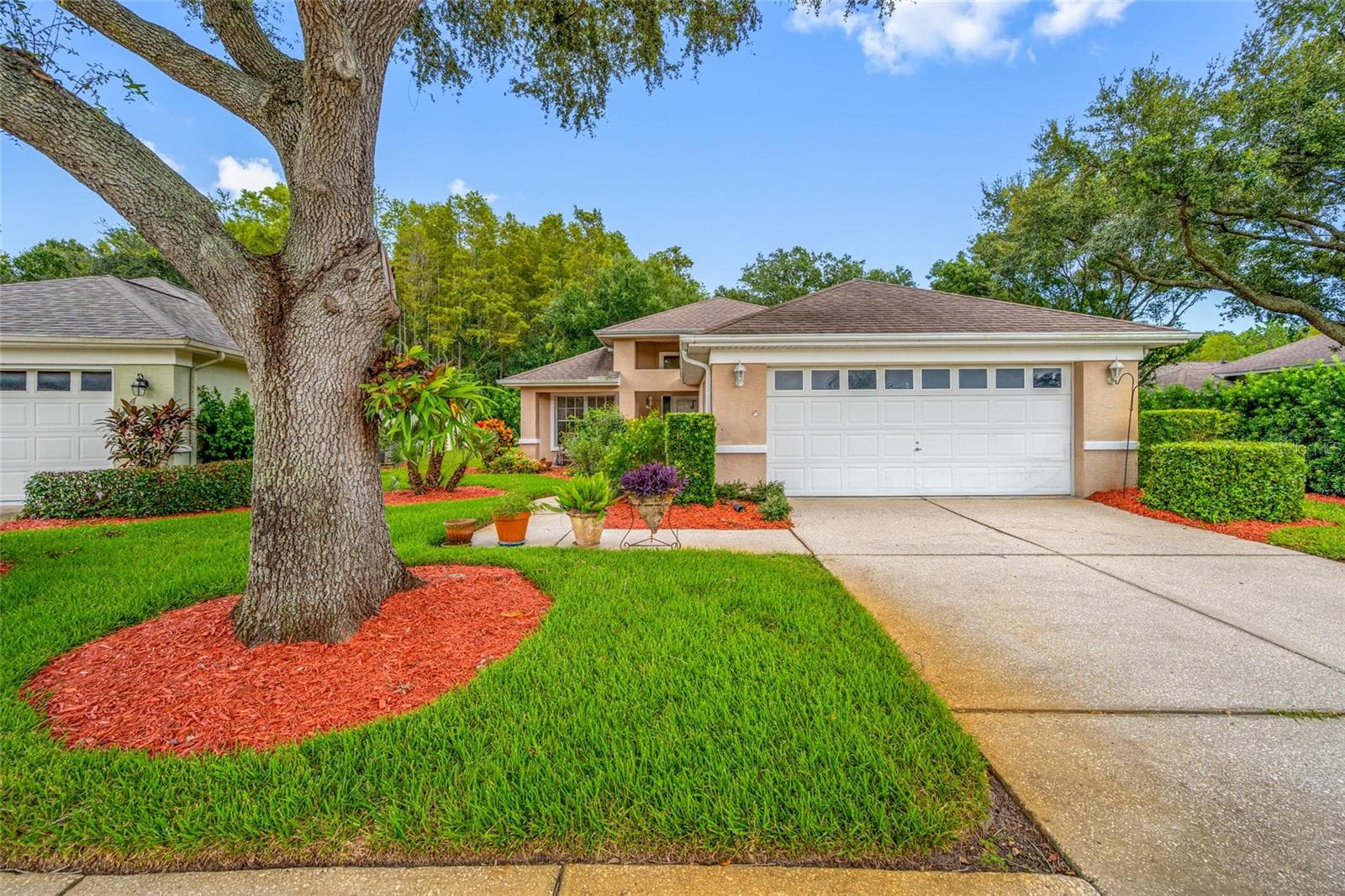 1044 Daleside Ln photo 2
