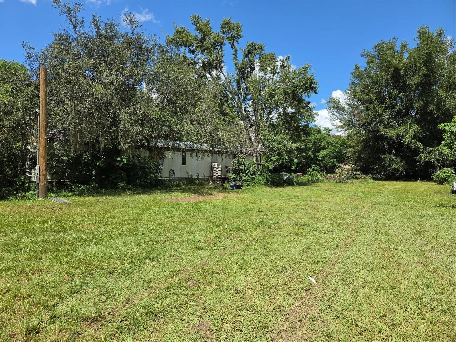 33349 Arthur Dr photo 4