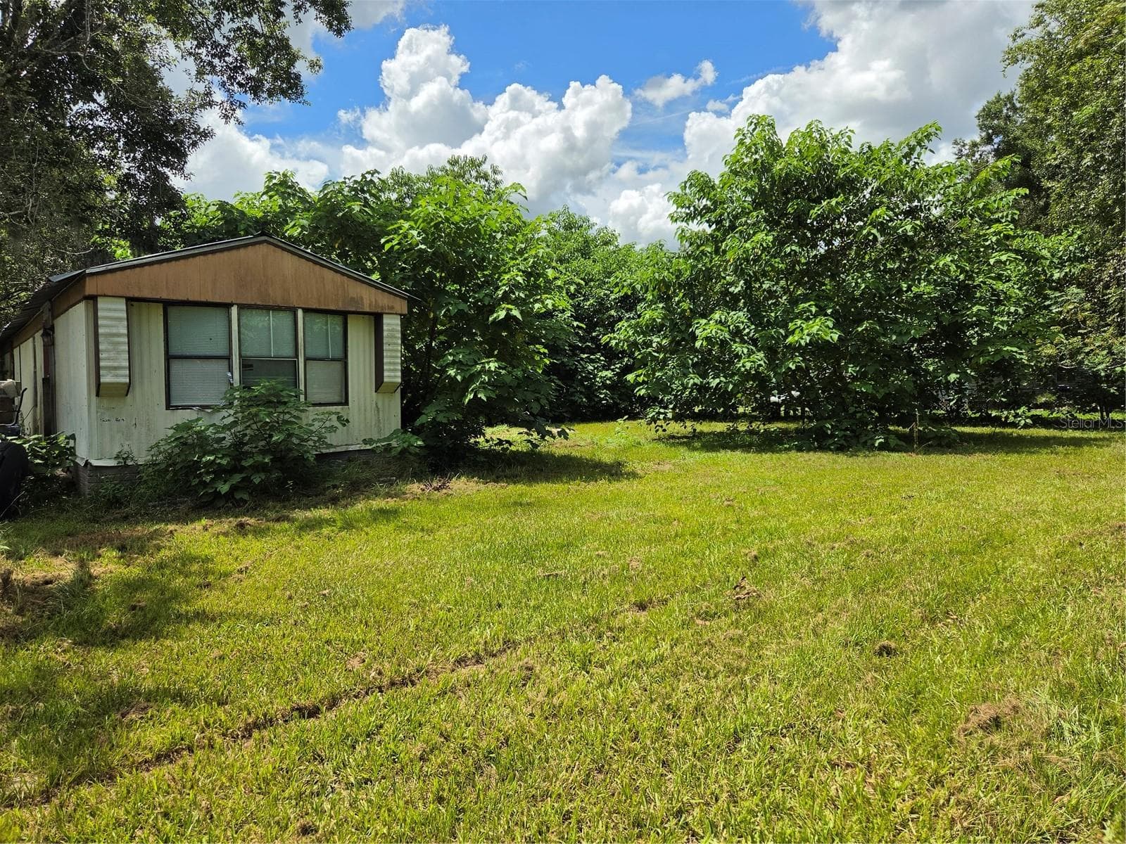 33349 Arthur Dr photo 5