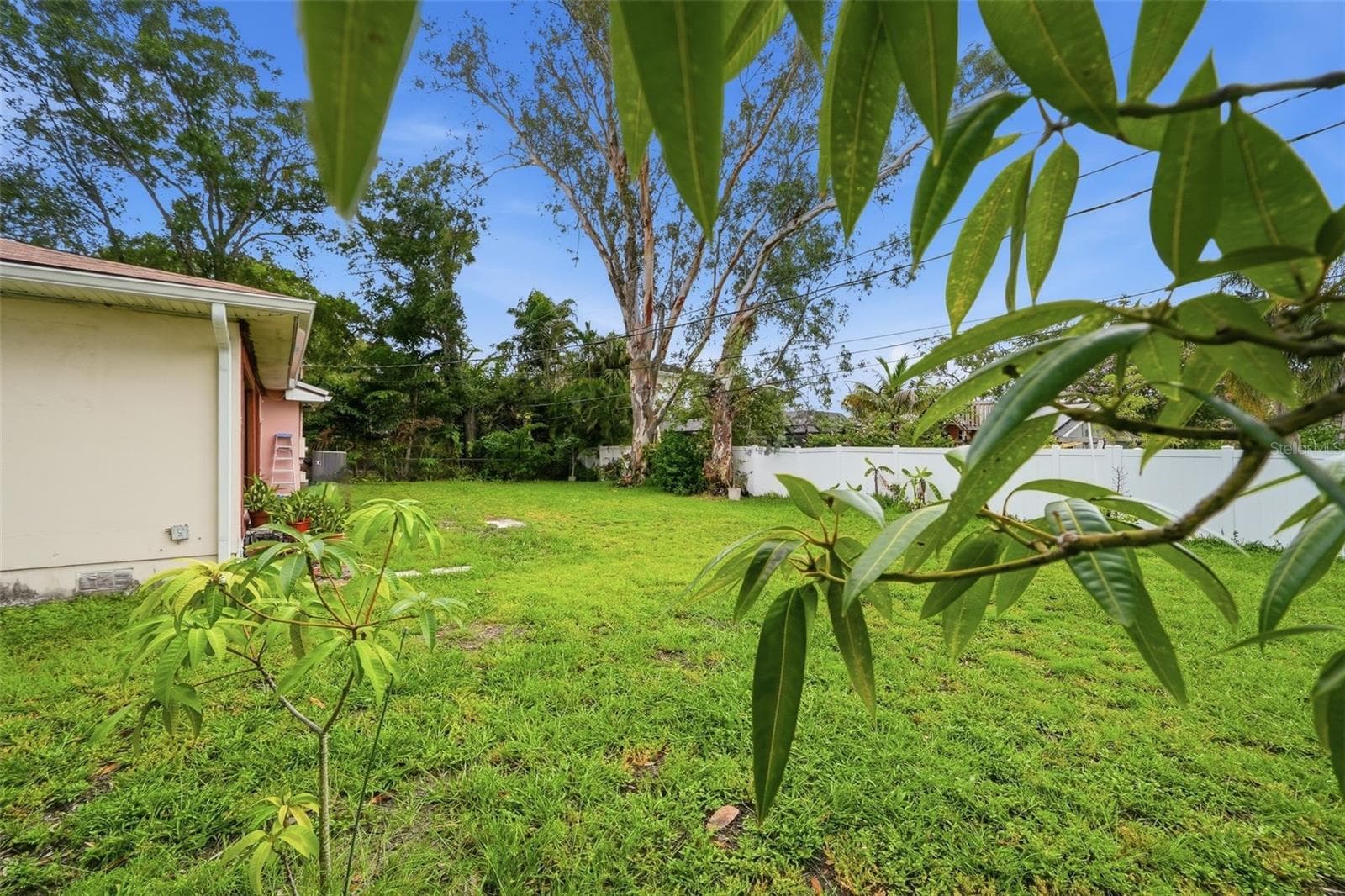 500 W Davis Blvd photo 4