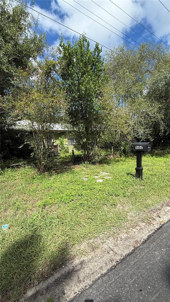 8602 N Rome Ave photo 5