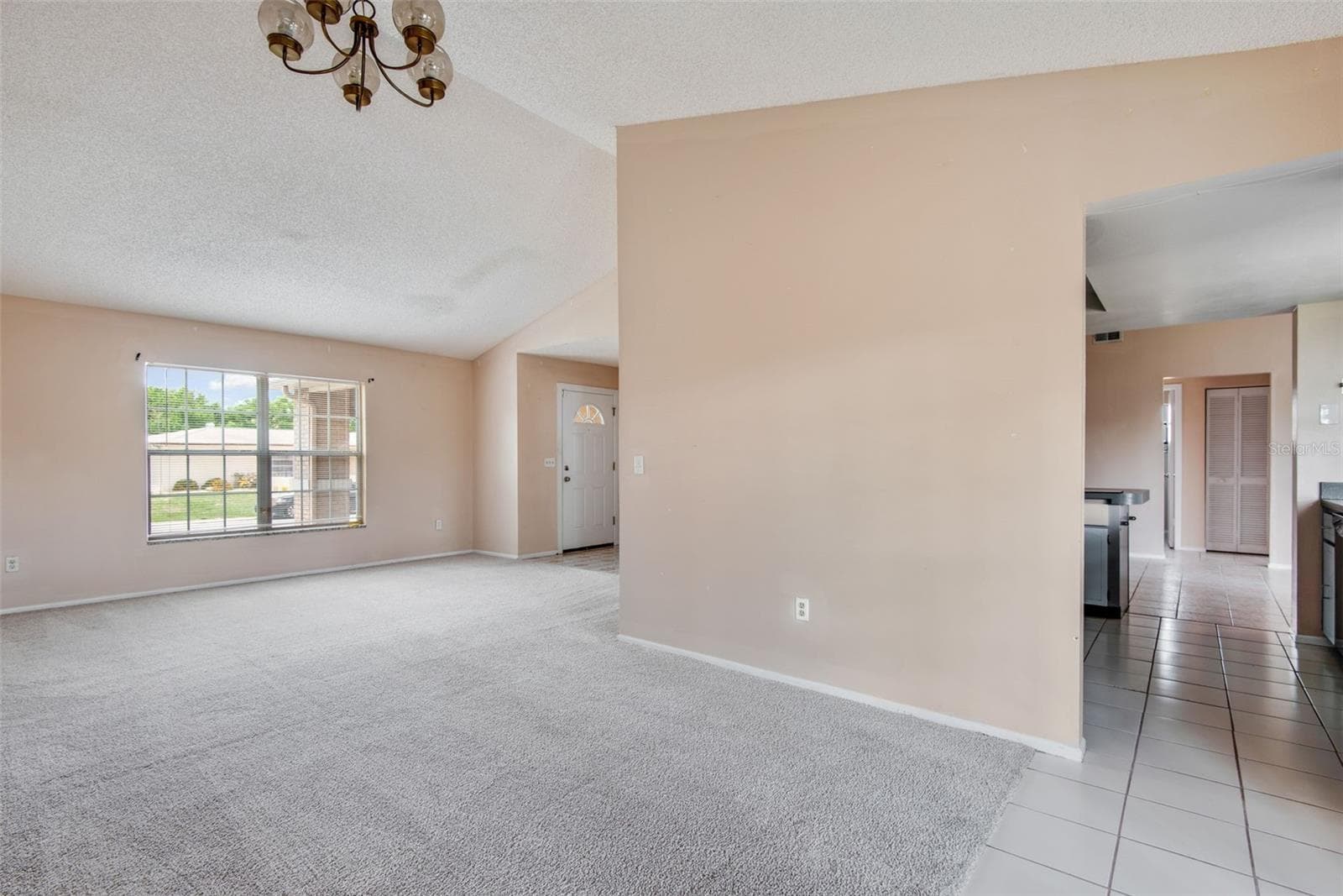 8425 Corney Dr photo 5