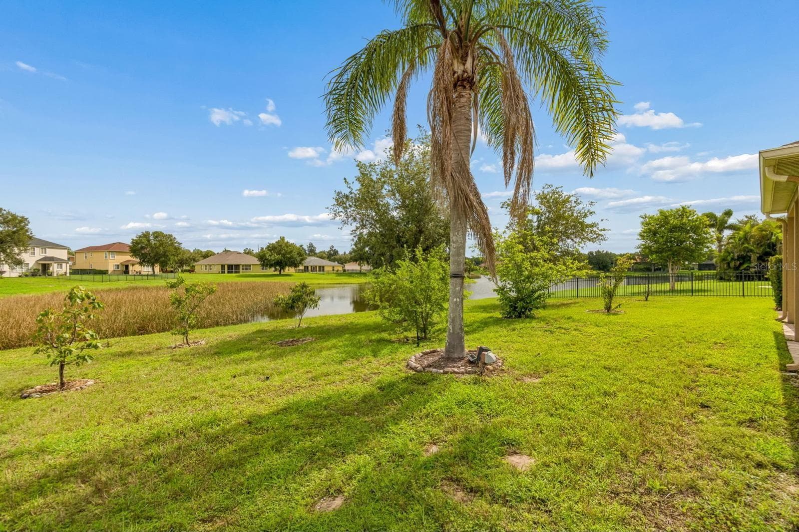 5406 Sandy Shell Dr photo 4