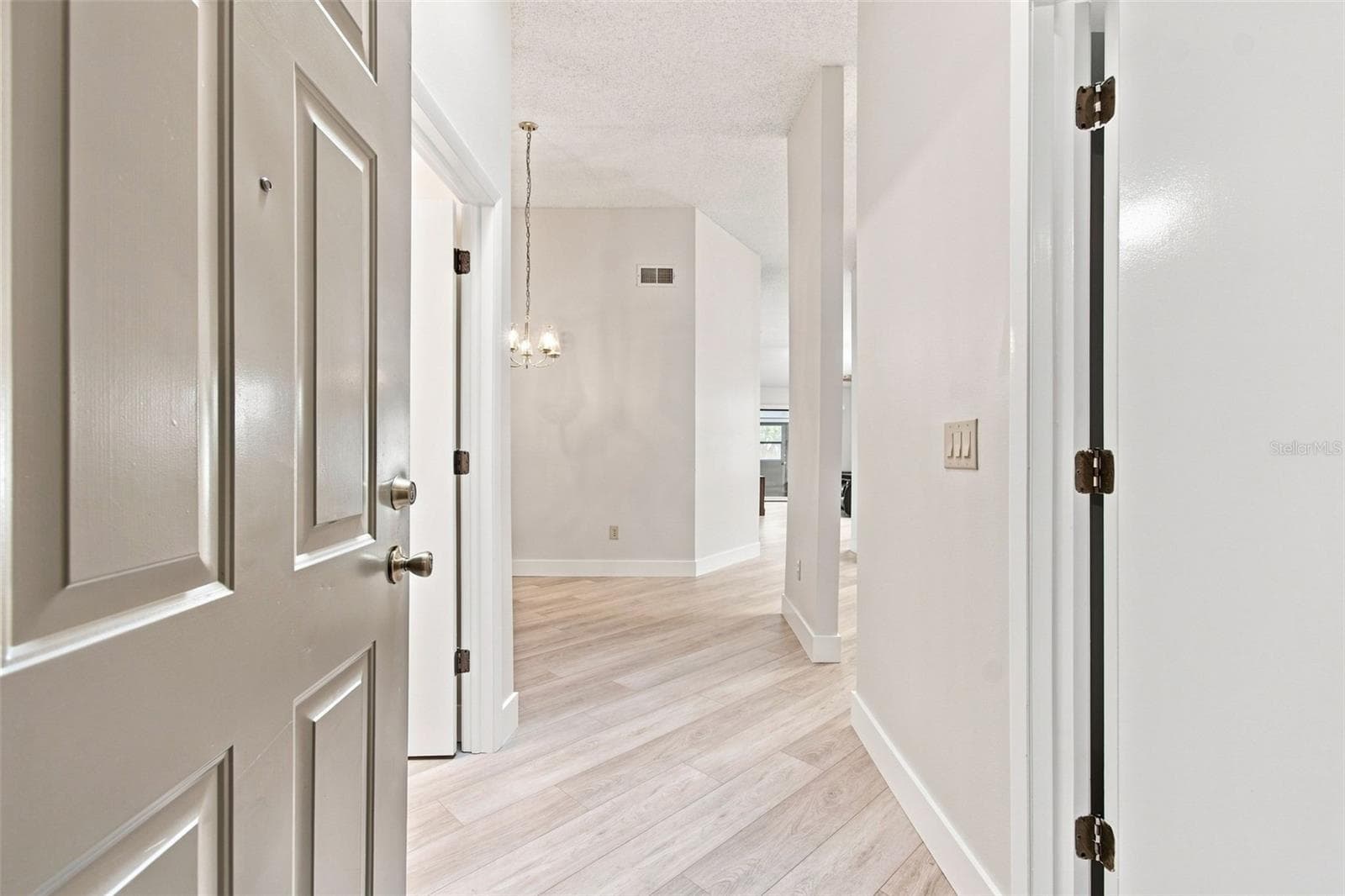 11712 Spring Tree Ln photo 3