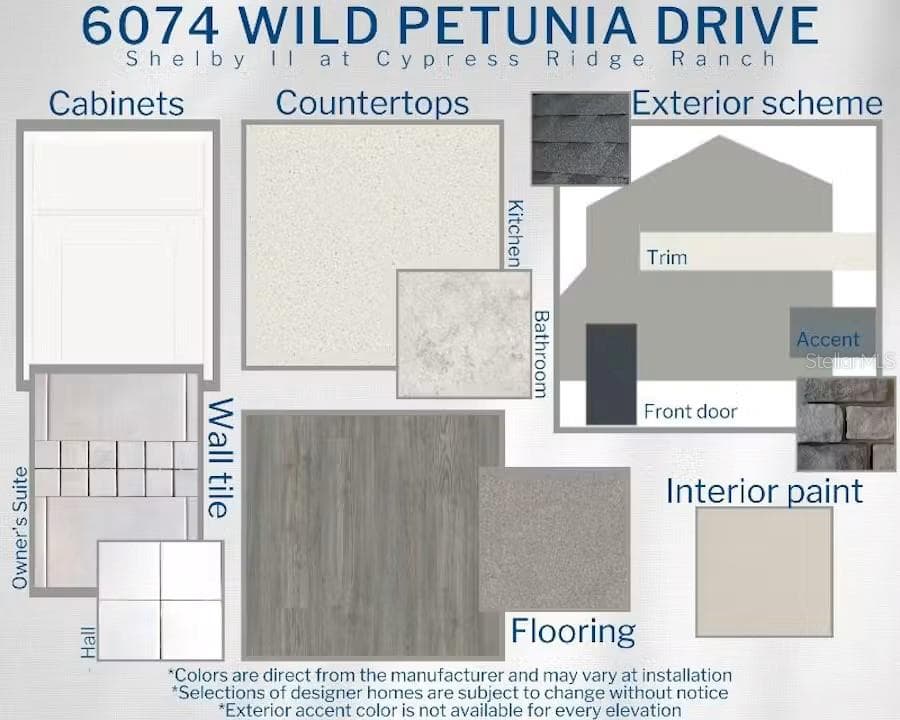 6074 Wild Petunia Dr photo 3