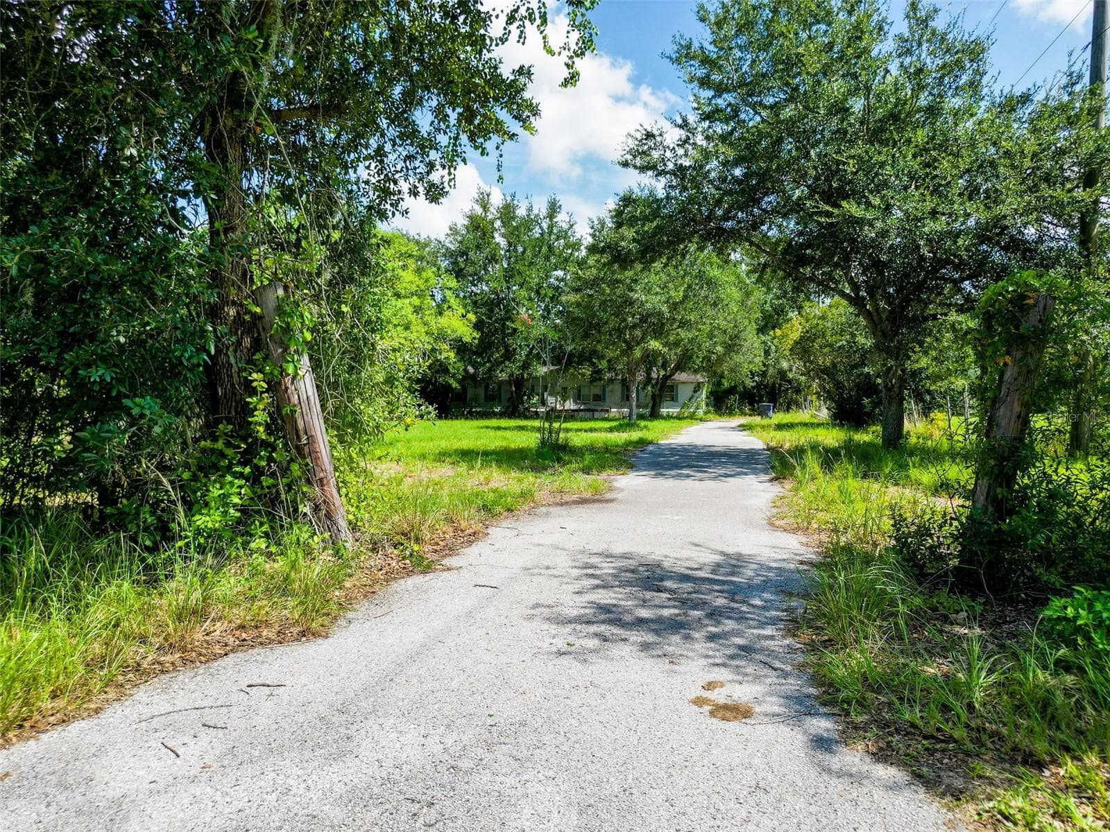 6020 Kelly Rd photo 4