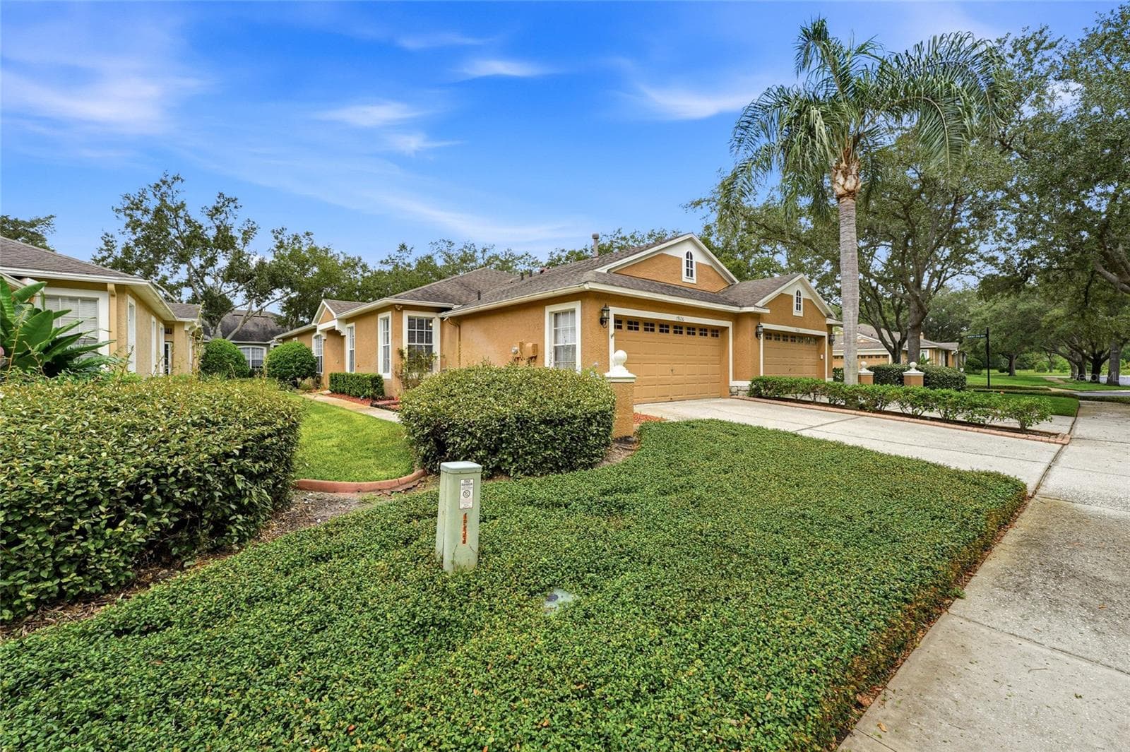 19126 White Wing Pl photo 3
