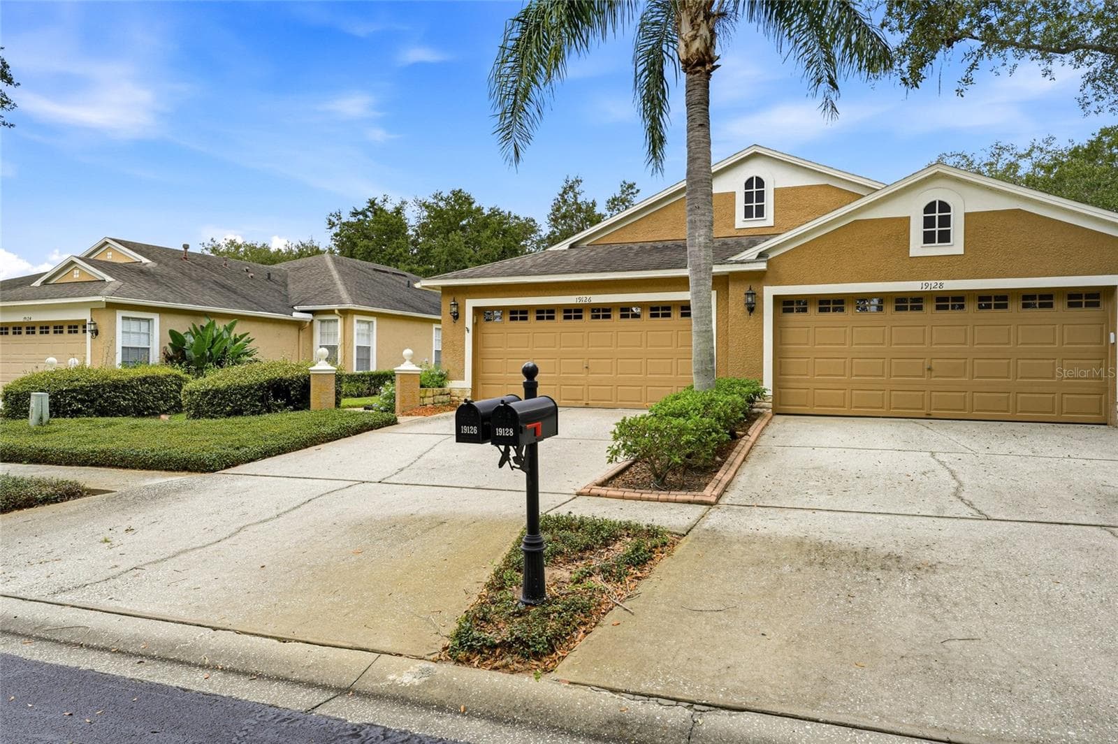 19126 White Wing Pl photo 4