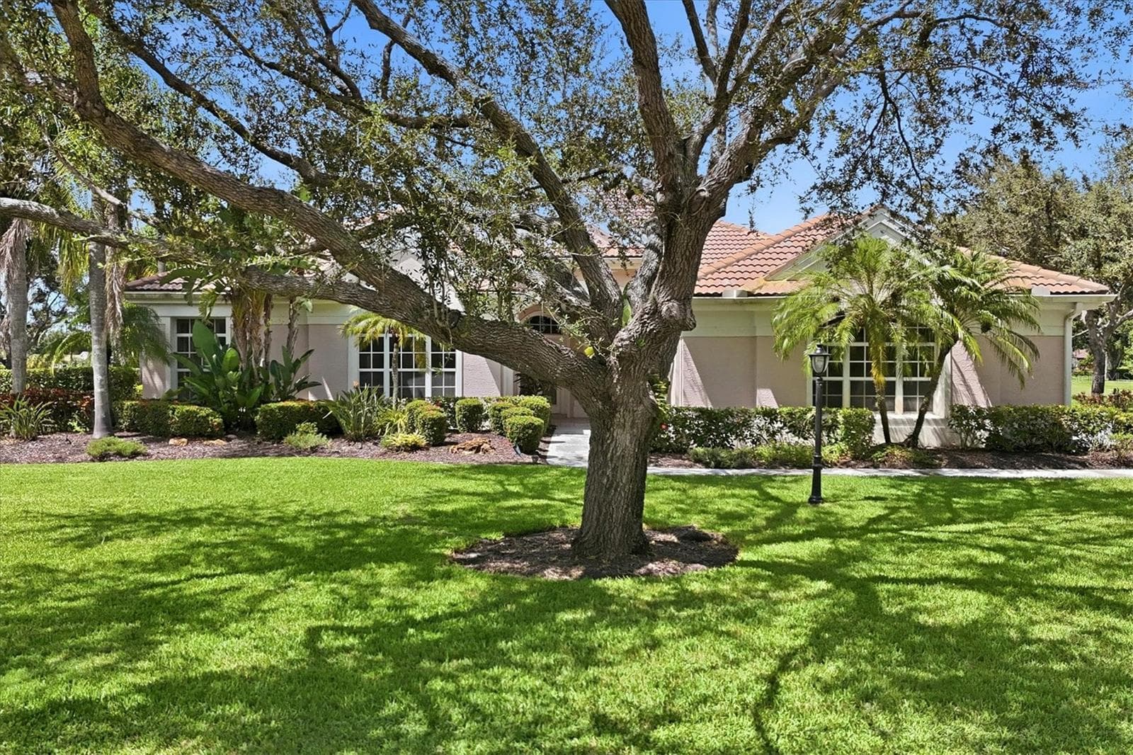 6847 Areca Blvd photo 4