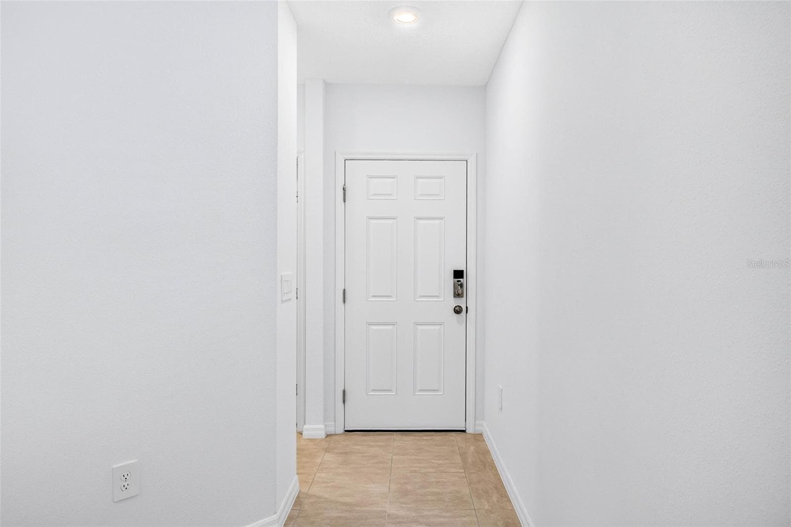 12449 Whisk CT photo 3