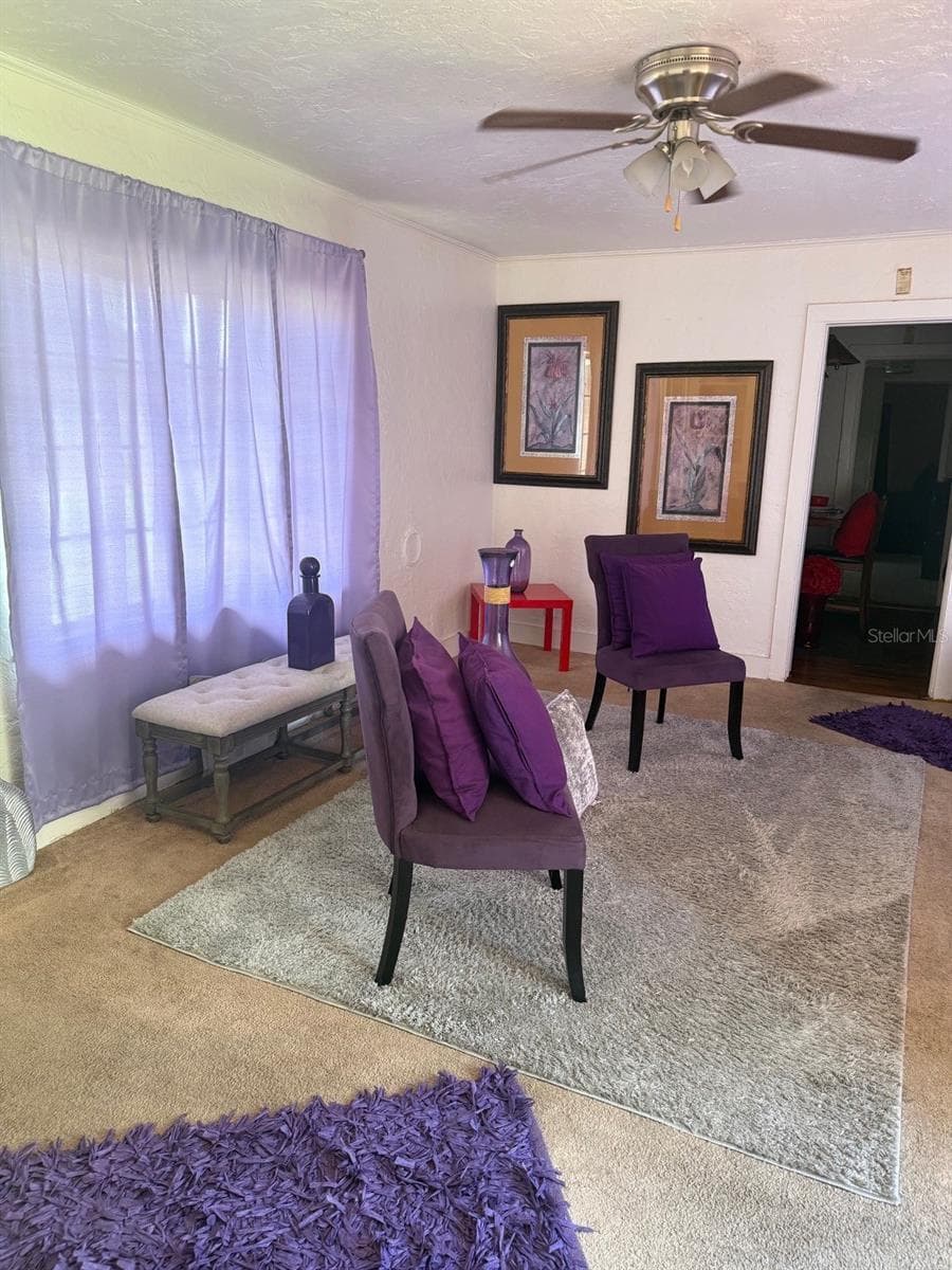 1715 W Carmen St photo 4