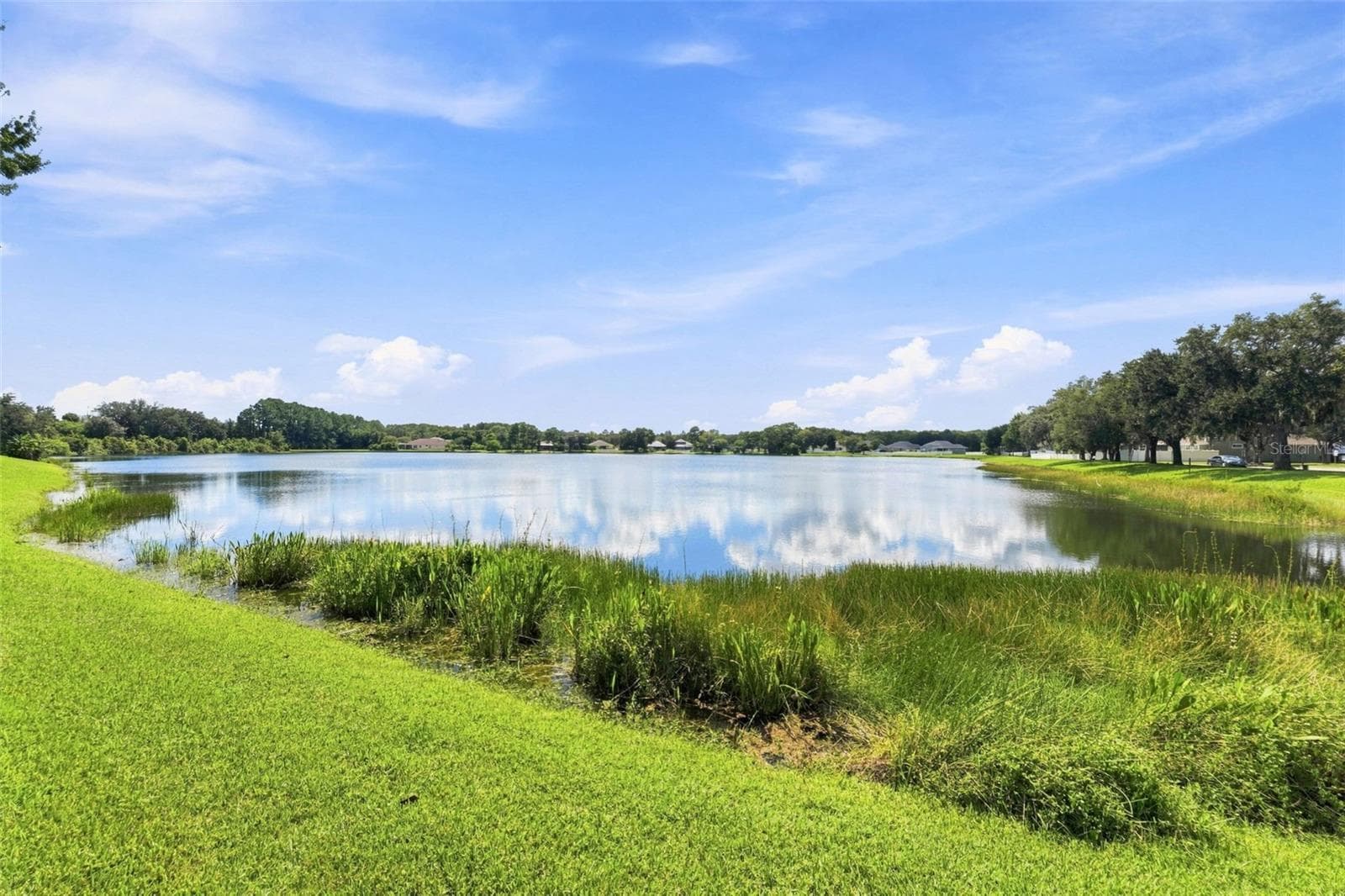 18022 Lake Reflections Blvd photo 3