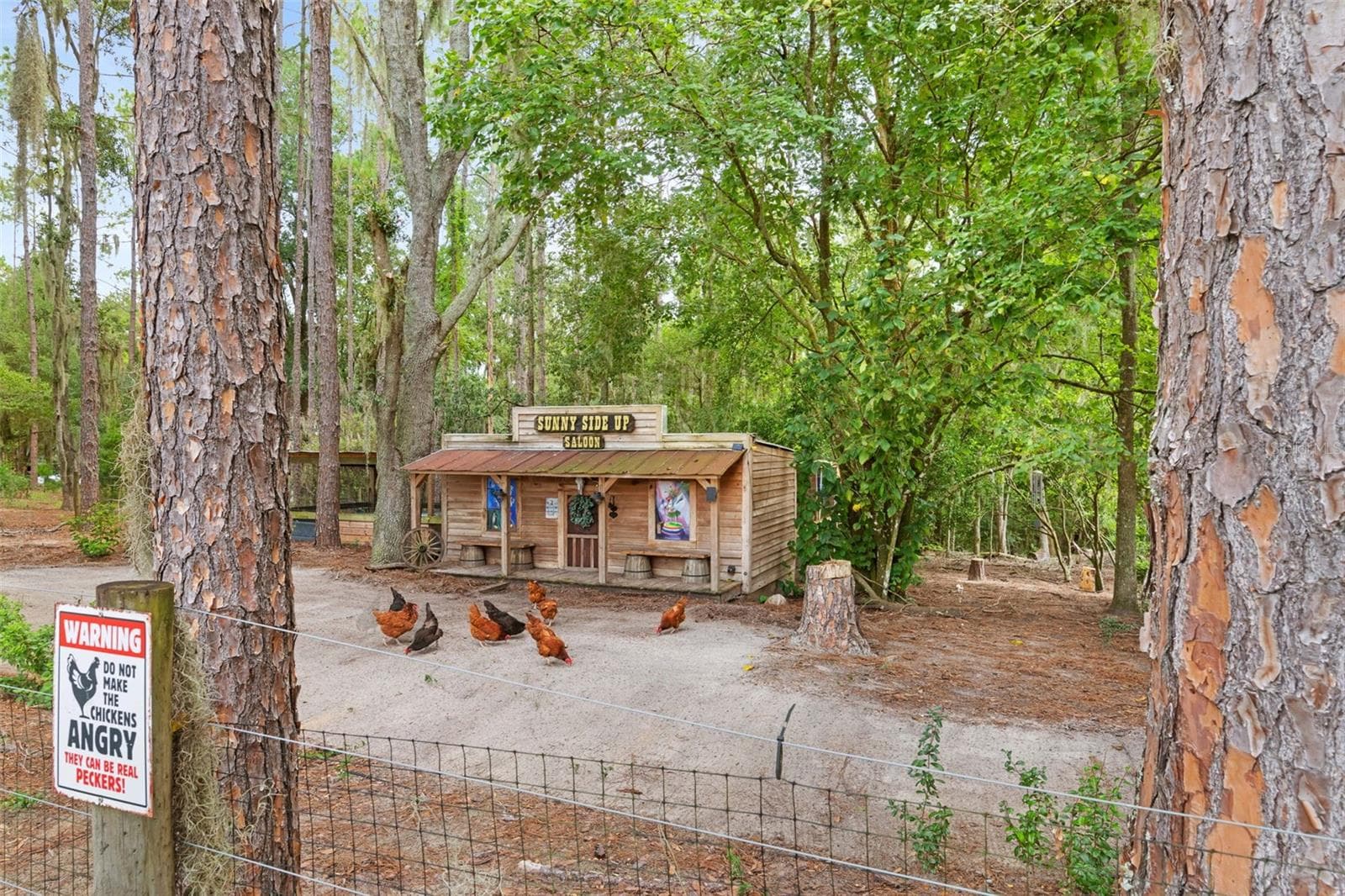 1164 Katie Wood Trl photo 4