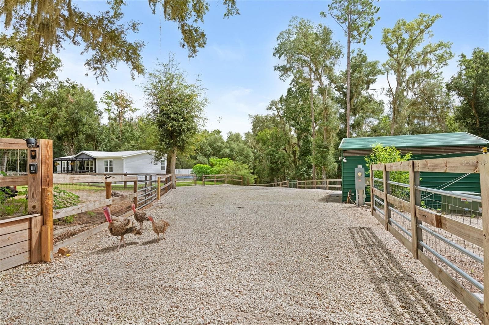 1164 Katie Wood Trl photo 5