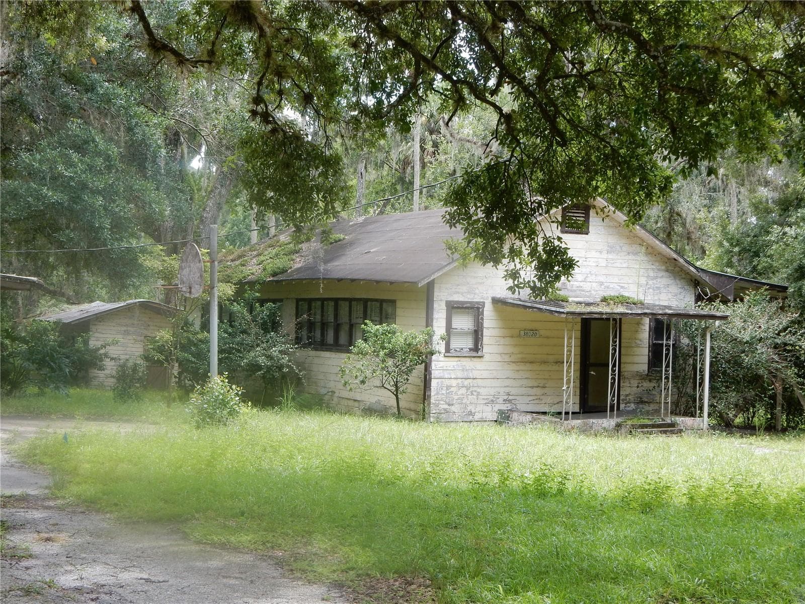 38036 Central Ave photo 5