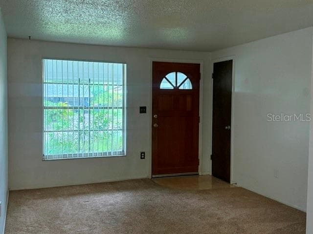2905 Lemonwood St photo 4