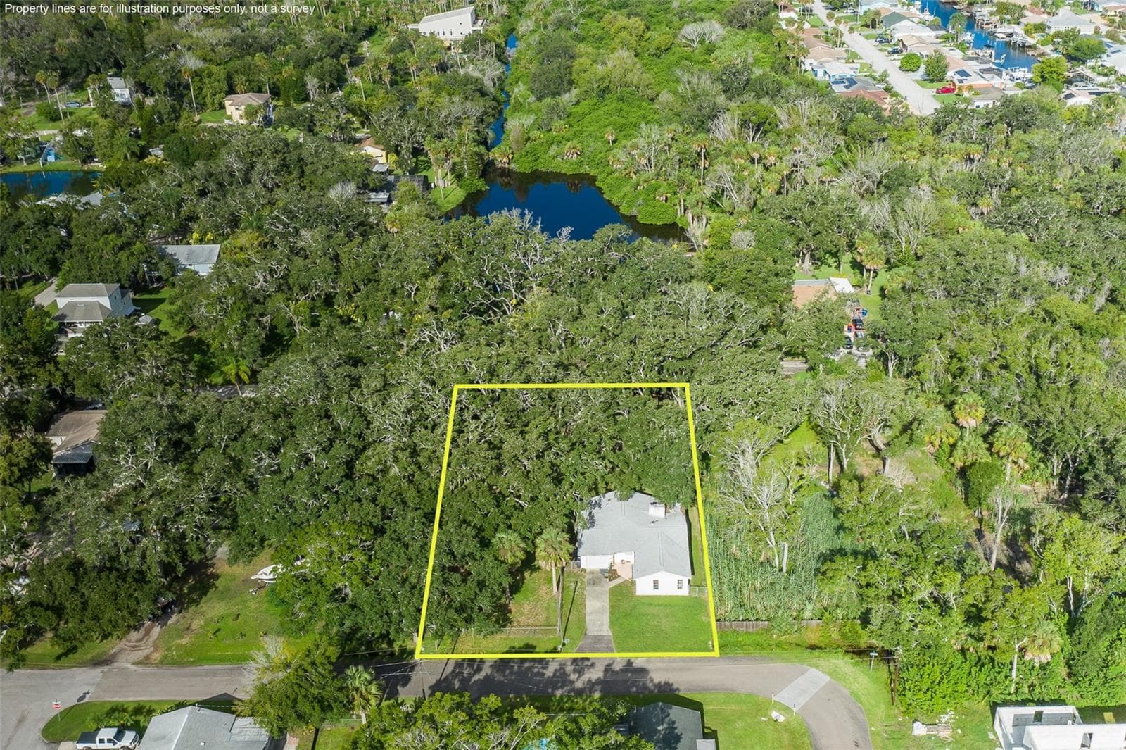 4715 Needle Palm Dr photo 4