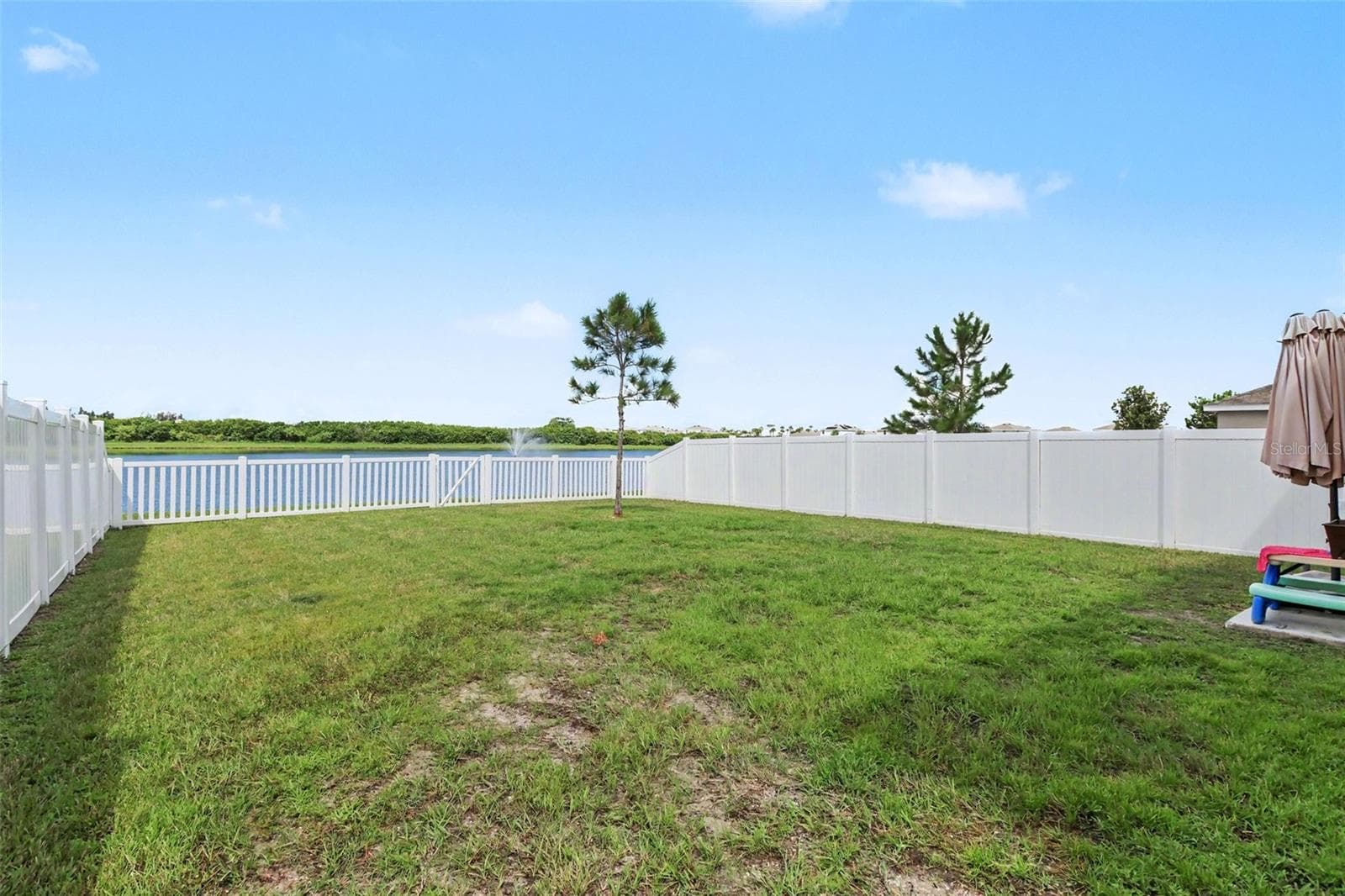 498 Olive Conch St photo 5