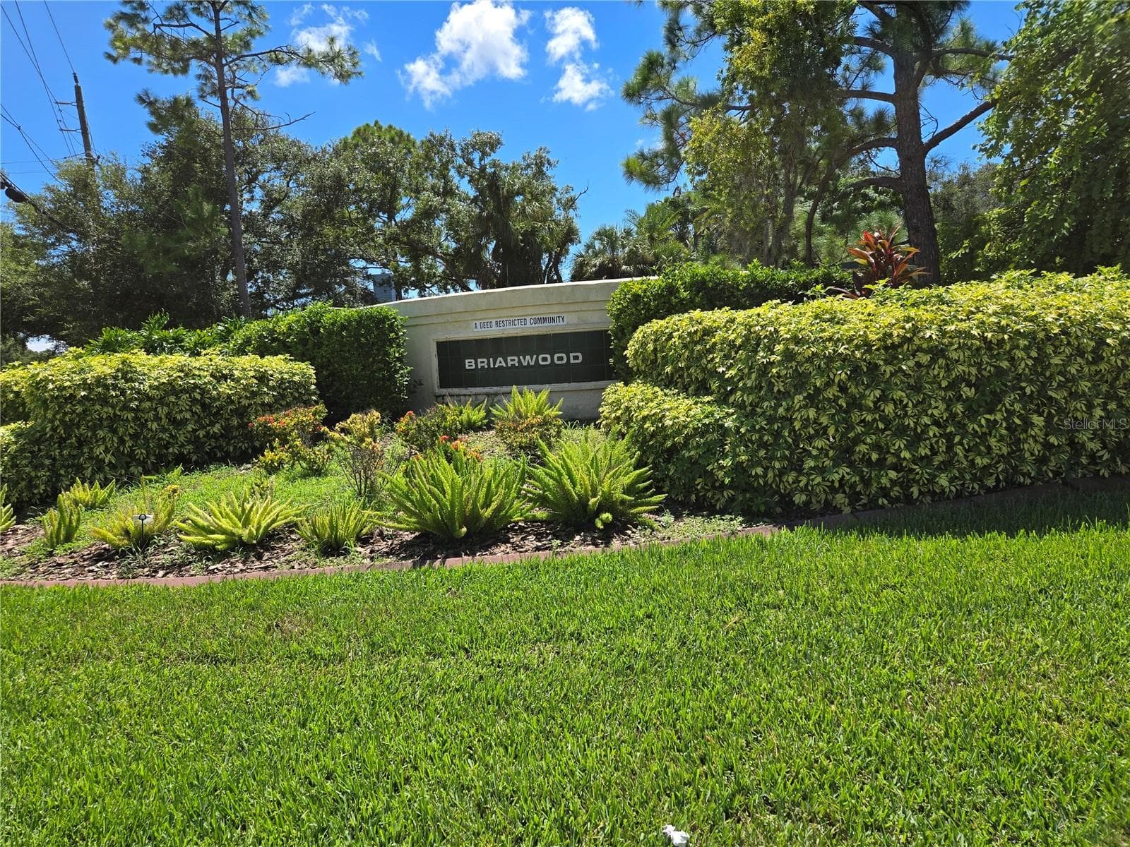 5627 29th Street Cir E photo 2