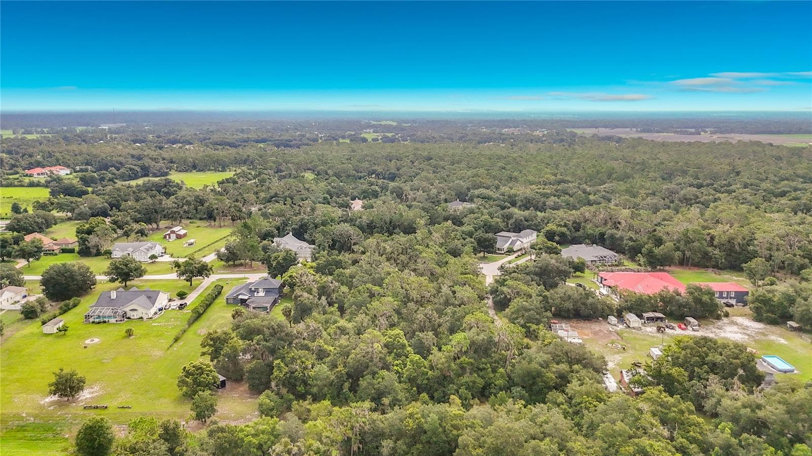 10623 Lithia Estates Dr photo 2