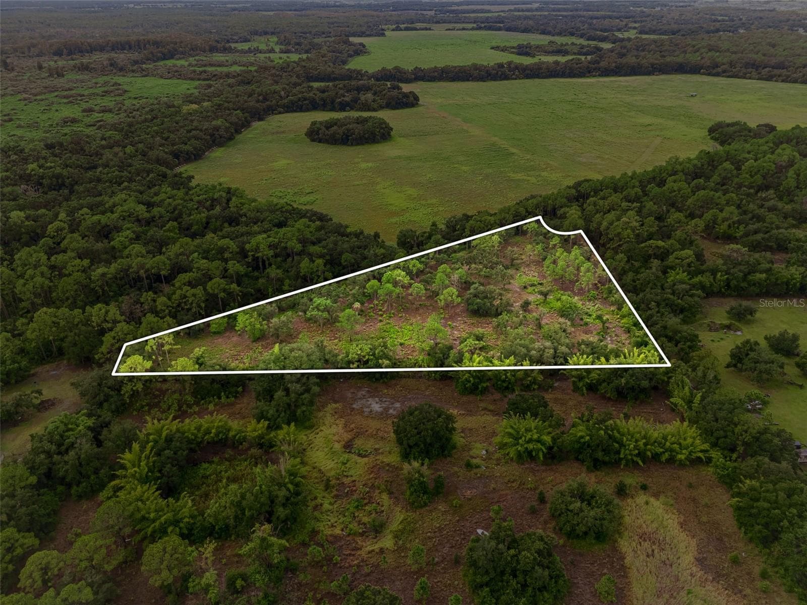 14020 Cypress Ln photo 3