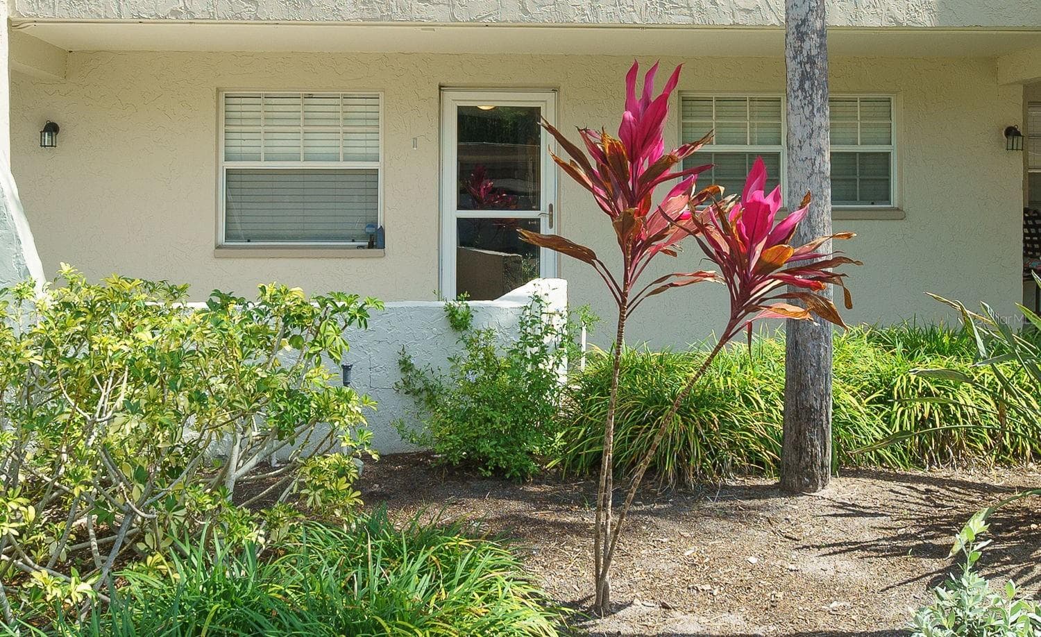 940 Virginia St #103 photo 3