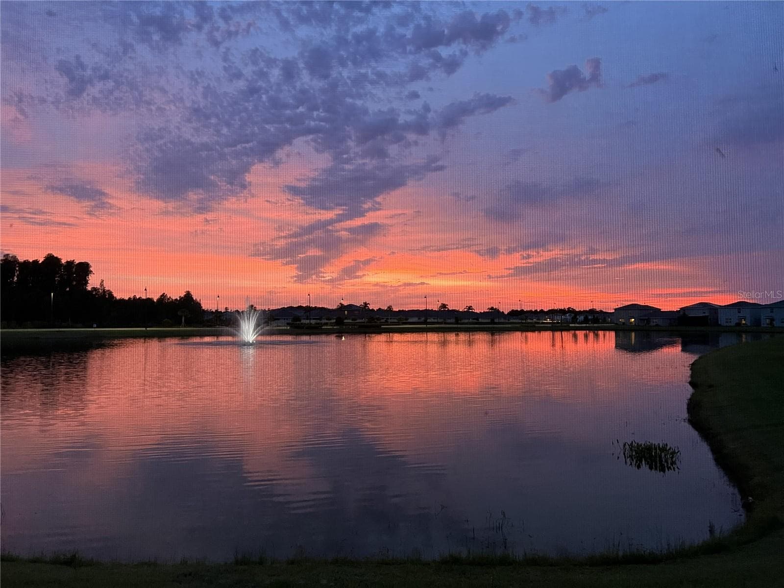 3119 Suncoast Blend Dr photo 3