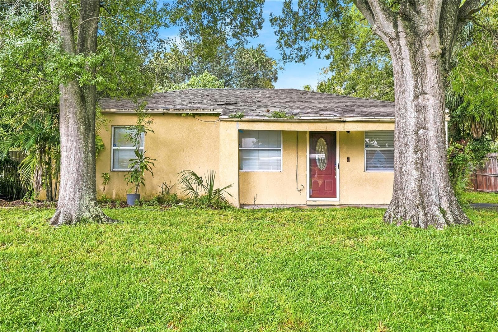 3910 W Palmetto St photo 4