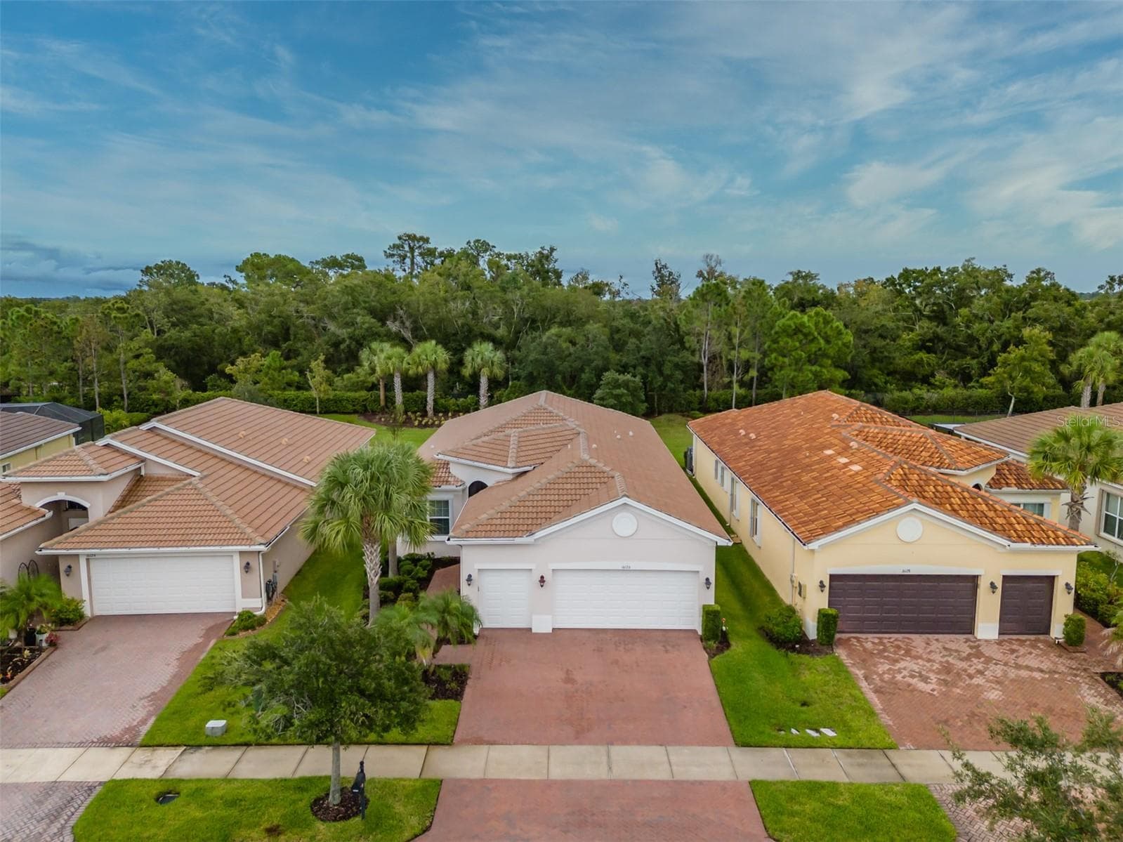 16126 Cedar Key Dr photo 2