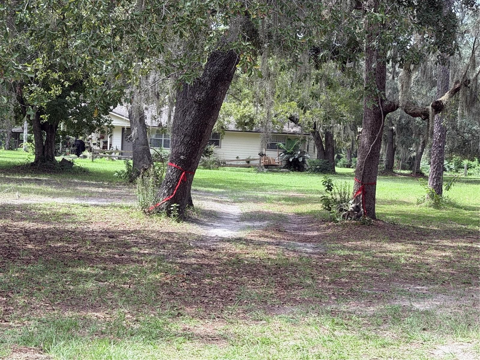 15535 Renee Ln photo 3