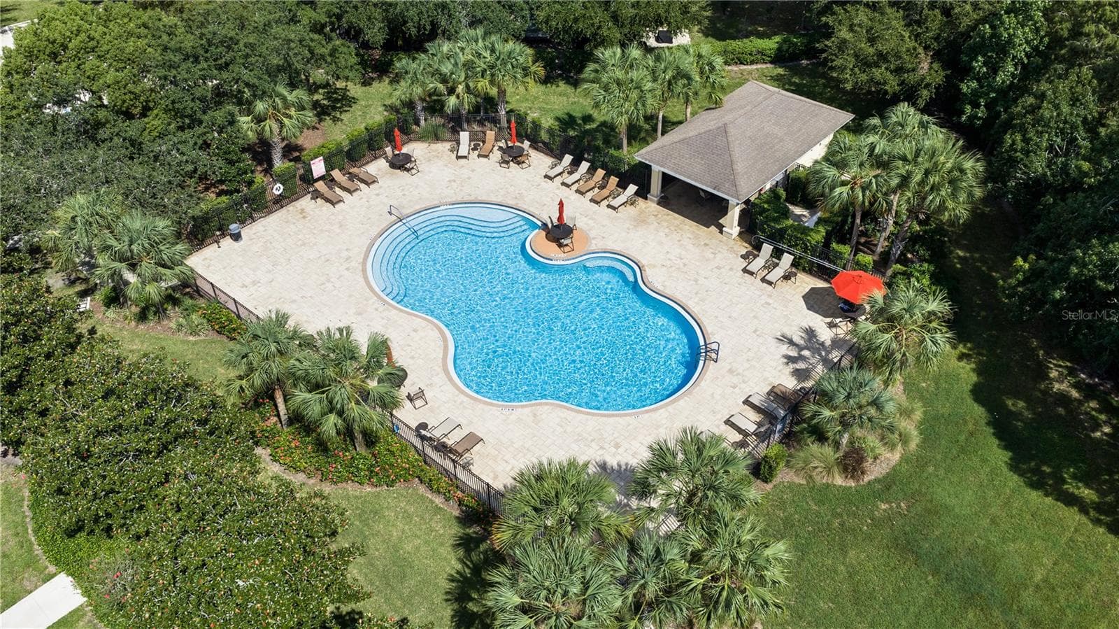 2235 Parrot Fish Dr photo 5