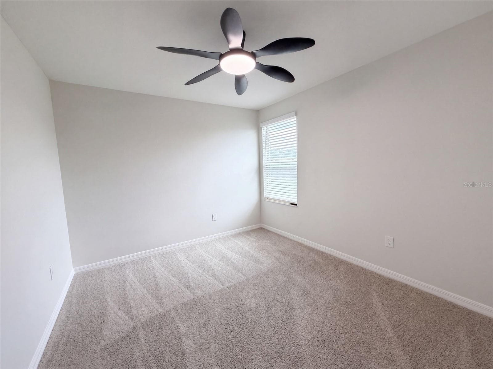 10448 Carloway Hills Dr photo 5